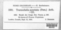 Tranzschelia discolor image
